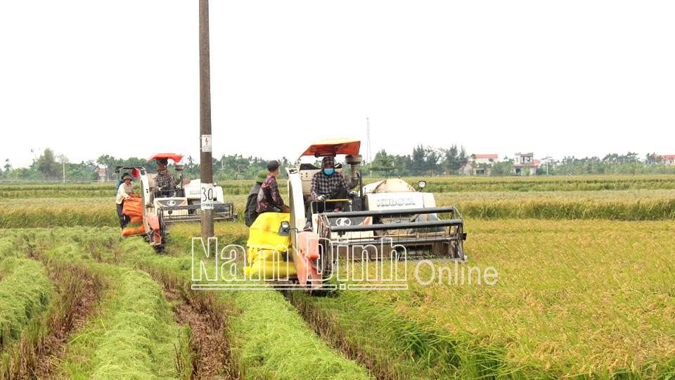 Nhiều thành quả trong xây dựng nông thôn mới  Hoạt động đảng đoàn thể   Phường Hương Sơn